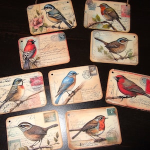 Etiquetas de cartão postal de pássaros inspirados no vintage NINE / Etiquetas de presente vintage / Lembrança