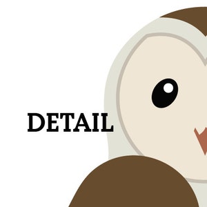 May include: Close-up of a brown and white owl with large, black eyes. The owl's face is mostly white with a brown beak and a brown patch on the top of its head. The owl's body is mostly brown with a white belly. The word "DETAIL" is written in black text below the owl's face.