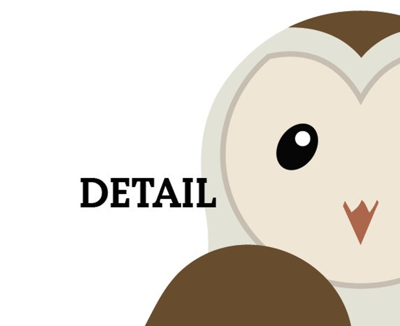 May include: Close-up of a brown and white owl with large, black eyes. The owl's face is mostly white with a brown beak and a brown patch on the top of its head. The owl's body is mostly brown with a white belly. The word "DETAIL" is written in black text below the owl's face.
