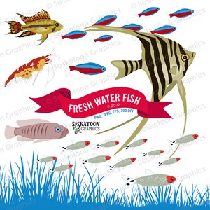 Freshwater Fish Clip Art - Instant Download File - Digital Graphics - Product Artwork - Crafts - Commercial Use - EPS, PNG, JPEG - #A012