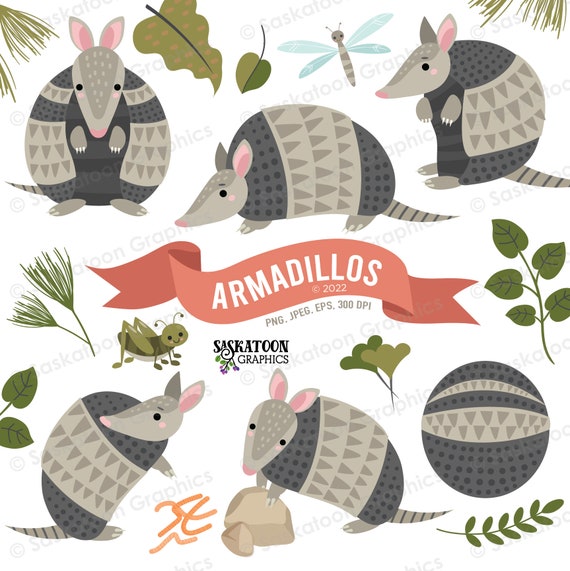 Armadillos Clipart Wild Animals Instant Download File Etsy India