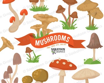 Mushrooms - Woodland Nature Clip Art - Instant Download File - Digital Graphics - Product Artwork - Commercial Use - EPS, PNG, JPEG - #N013