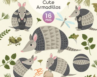 Cute Armadillo Clipart | Armadillo PNG Bundle | Desert Animals, Wildlife Illustrations, Nature Insects & Leaves Digital Download | PNG | EPS