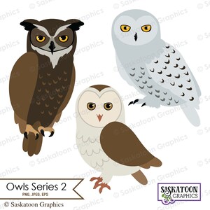 May include: Three cartoon owls with different colored feathers. The owls are brown, white, and gray. The owls are facing forward with their eyes open. The owls are on a white background. The text "Owls Series 2" is at the bottom of the image.
