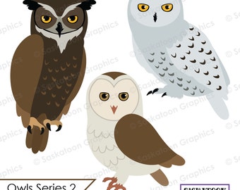 Owl Clip Art - Woodland Animal - Instant Download File - Digital Graphics - Product Artwork - Commercial Use - EPS, PNG, JPEG - #A023