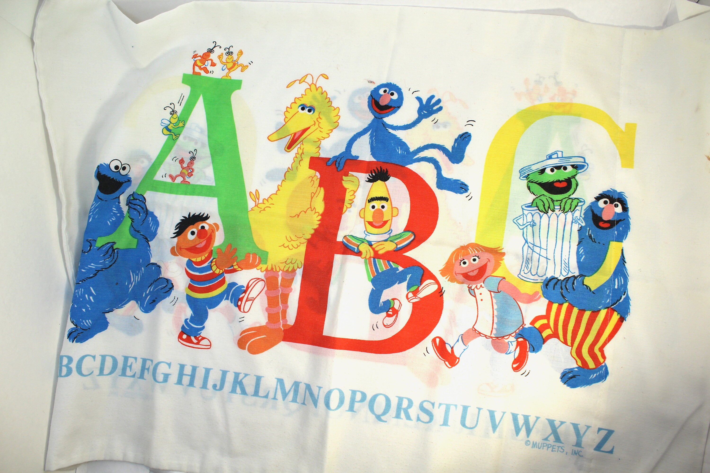 personalized sesame street pillowcase