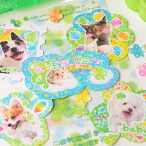A flat lay of all the clover stickers and some mini clover animal and rainbow clover stickers.