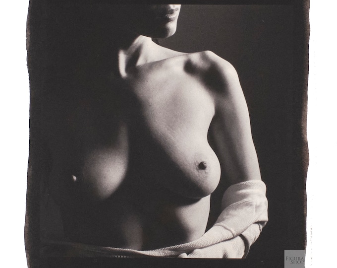 Fine Art Nude Palladium Print: Ivy Rose No. 00745