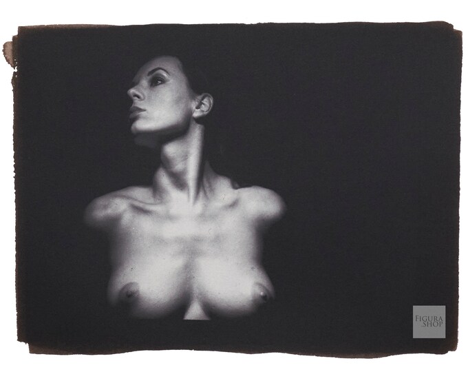 Palladium Print: Nude No. 160802 #1