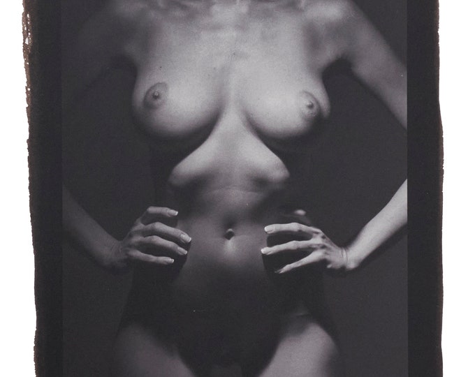 Art Nude Palladium Print:  Nikolart 160803 No. 2