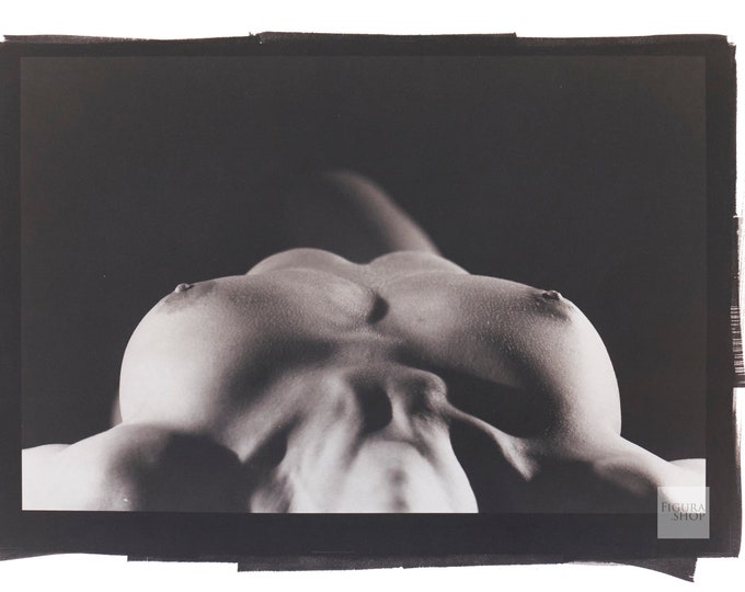 Nude Palladium Print: Nikola No. 70730 8x12