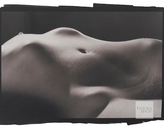 Art Nude Palladium Print: Johanna No. 4982 8x12