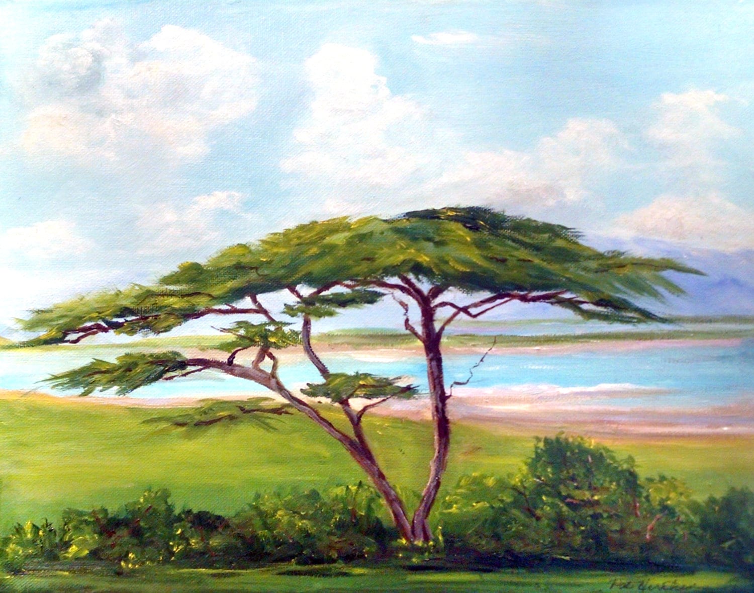 Acacia Tree Painting