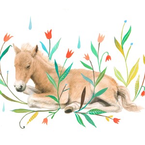 Foal Art Print | Watercolor Painting | Nursery | Farm | 8x10 | 11x14