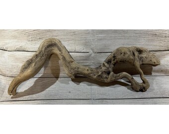 Vtg Piece of Driftwood that looks like a Dinosaur or Snake 17" long UNIQUE GTbB3