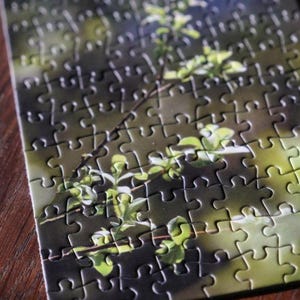 Mini Puzzle 99 pcs