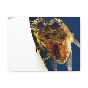 Canvas Wall Art, Bees on a Lilly Print, Stretched Matte Canvas Decor, 1 25 Inch, Stylish Bee Home Decor, Nature Inspired Wall Hanging,