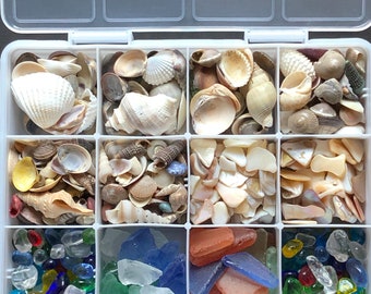 Shells Glass Chips - Etsy