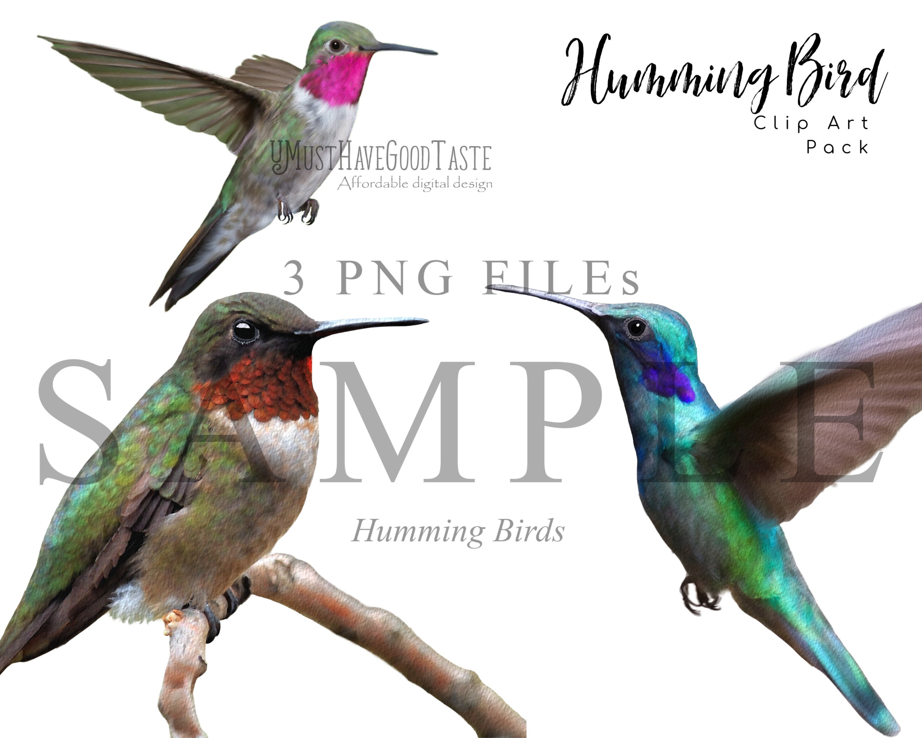 Download Watercolor Hummingbird Clip Art Bird Clipart Hummingbird Etsy