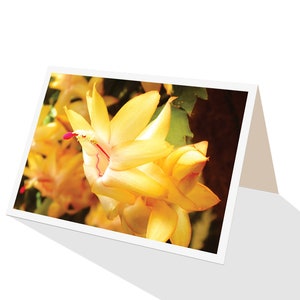 Tarjeta de felicitación Zygocactus Gold Fantasy