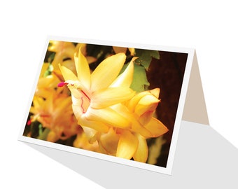 Zygocactus Gold Fantasy greeting card