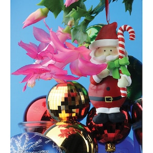 Kerst Cactus Kerstkaart met Santa