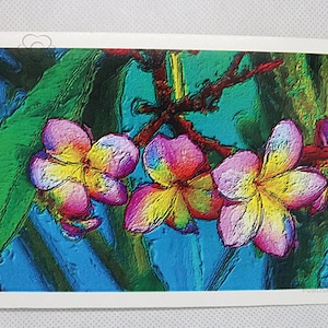 Pink and yellow frangipani flower greeting card from Cloud Publishing
