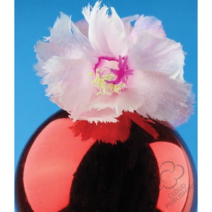 Carte de Noel de Noel de cactus Aspen de Cloud Publishing