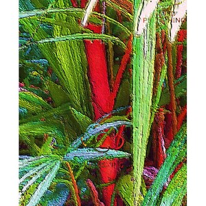 Wall art red Lipstick Palm A3 unframed print by artist Tony Brindley