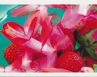 Christmas cactus greeting card of Strawberry Fantasy in a bowl of strawberries