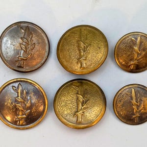 May include: Six antique metal buttons in varying sizes. Each button features a detailed embossed design of a stylized plant sprig. The buttons have a metallic finish with shades of bronze, gold, and silver, showing signs of age and wear.
