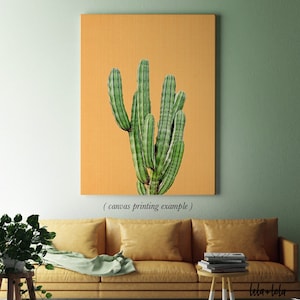 Kaktus Print, mexikanische Wandkunst, großes druckbares Poster, modernes botanisches Dekor, Kakteenfoto, Pflanzenfotografie