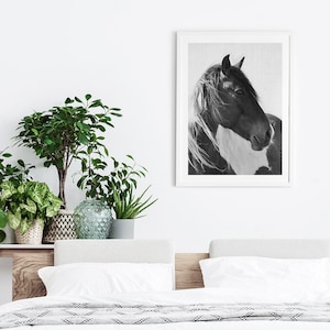 Horse Print, Photography Black and White Wall Art, Digital Download, Printable Horse Art, Black and White Horse Photo, Large Wall Art Print