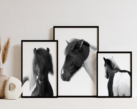 Horse Photography Black and White 3 Piece Wall Art Prints ~ Printable Instant Digital Downloadable
