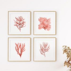 Puede incluir: Cuatro impresiones enmarcadas de coral rosa sobre un fondo blanco. Las impresiones están dispuestas en forma cuadrada en una pared blanca. Un banco de madera con una manta blanca se encuentra frente a las impresiones. Un jarrón con flores secas se encuentra sobre el banco. Una cama con una manta blanca y marrón está en el fondo.