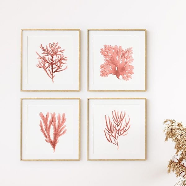 Peach Coral Print ~ Square Set of 4 ~ Printable Digital Download ~ Coastal, Beach, Hamptons Style Decor