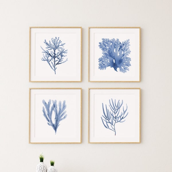 Blue Coral Print Set of 4 ~ Printable Digital Download ~ Coastal, Beach, Hamptons Style Decor, Sea Life