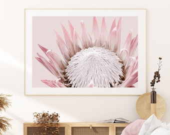 Pink King Protea Wall Art Print ~ Bloemenfotografie | Grote slaapkamer Poster | Afdrukbare digitale download