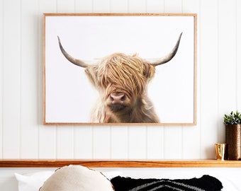 Highland Cow Print - Printable Wall Art ~ Colour Cow Photography Poster