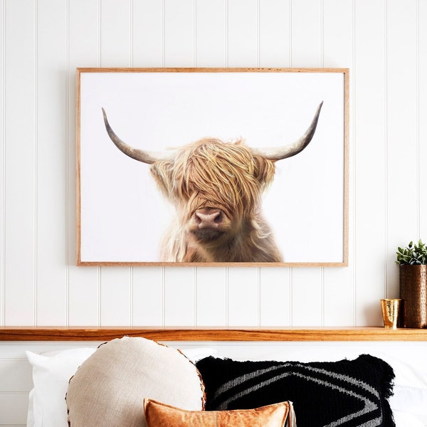 Highland Cow Print - Printable Wall Art ~ Colour Cow Photography Poster