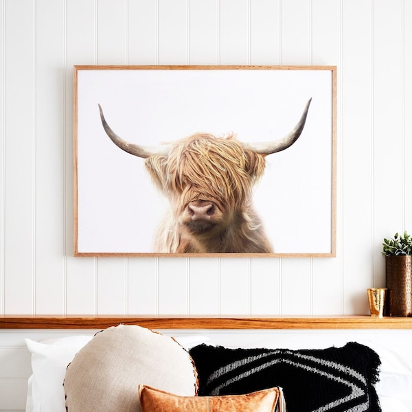 Print Highland Cow - Afdrukbare muurkunst ~ kleurenposter koefotografie