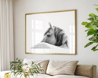 Pferde Fotografie Wand Art Print ~ schwarz weißes Pferd Poster ~ druckbare digitaler Download