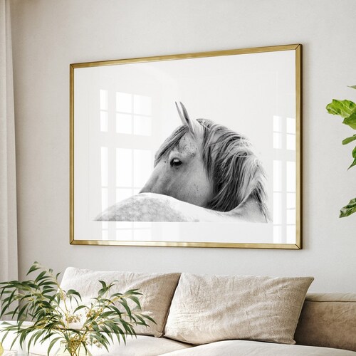 Horse Photography Print Wild Pony Wall Art Decor Etsy Australia