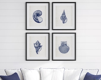 Blue Sea Shell Print Set of 4 ~ Nautical, Coastal, Beach Home Decor ~ Vintage Illustrations ~ Printable Digital Download