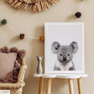 May include: A framed print of a koala bear with a white background. The koala is looking directly at the camera with a neutral expression. The print is sitting on a white table with wooden legs.