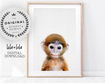 monkey print etsy