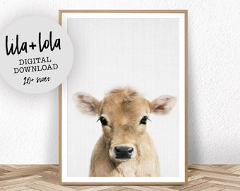 cow art print etsy