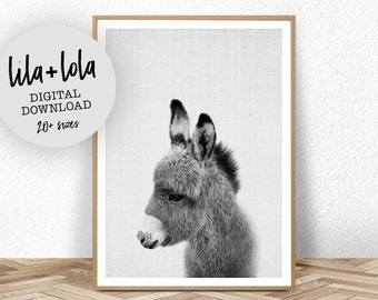 donkey poster etsy