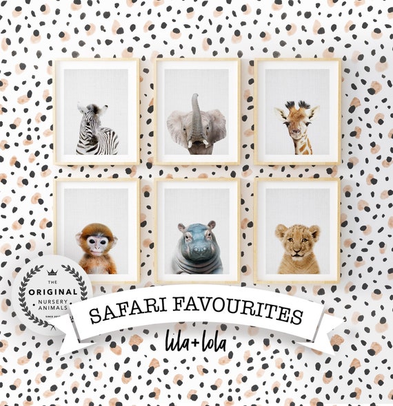 Safari Animal Favourites Collection - Digital Download