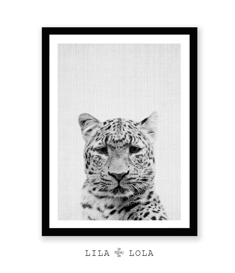 Cheetah Print Safari Nursery Animal Wall Art Black and White Etsy
